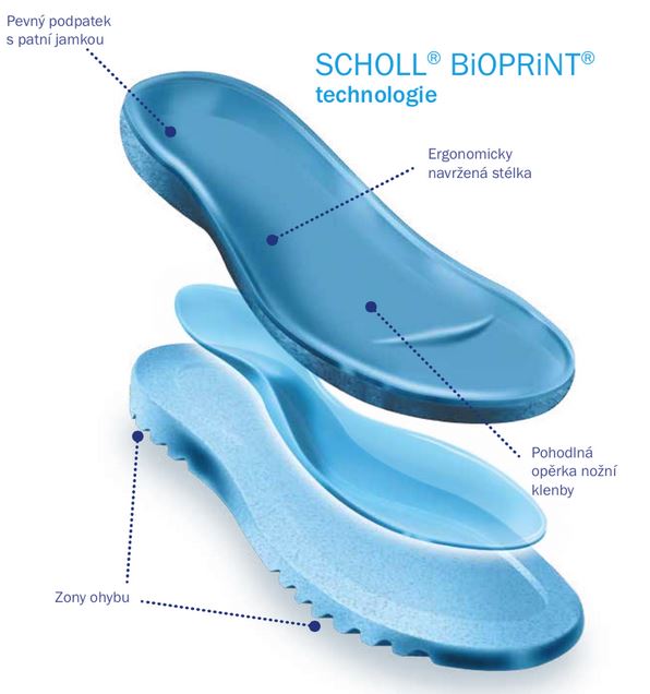 Technologie Scholl Bioprint